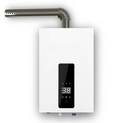 220V 0.025-1.0MPa Smart Tankless Gas Water Heater with 1 Year Warranty