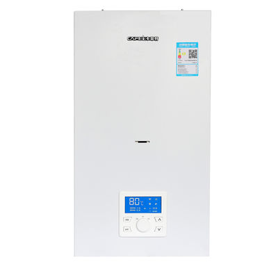 Oturma odası Mutfak Gaz kazanı Sıcak su ısıtma 24Kw